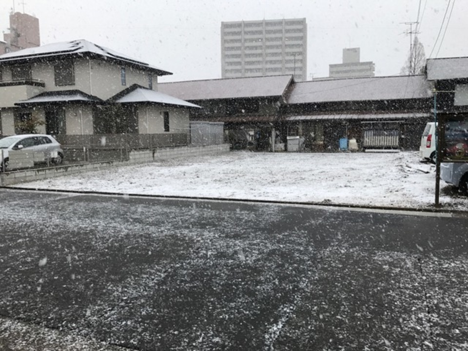 白井です、   初雪です  寒し！