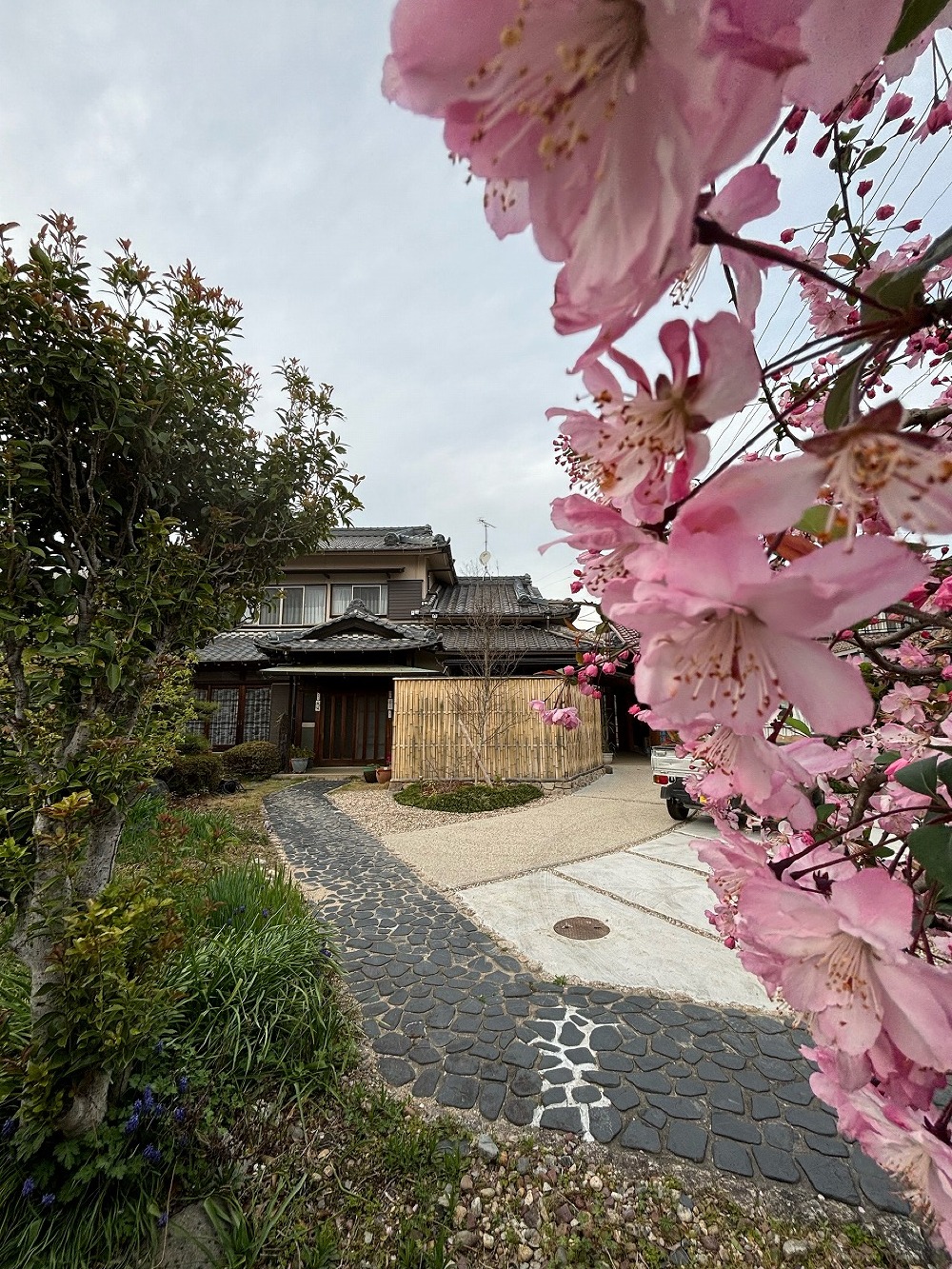 引き続き土台替えなどをおこないました（三浦）