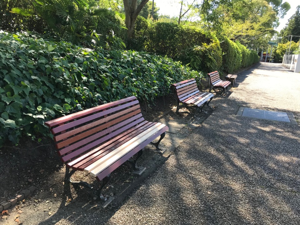 山本です、東山植物園の痛んだベンチの座板を取替ました。
