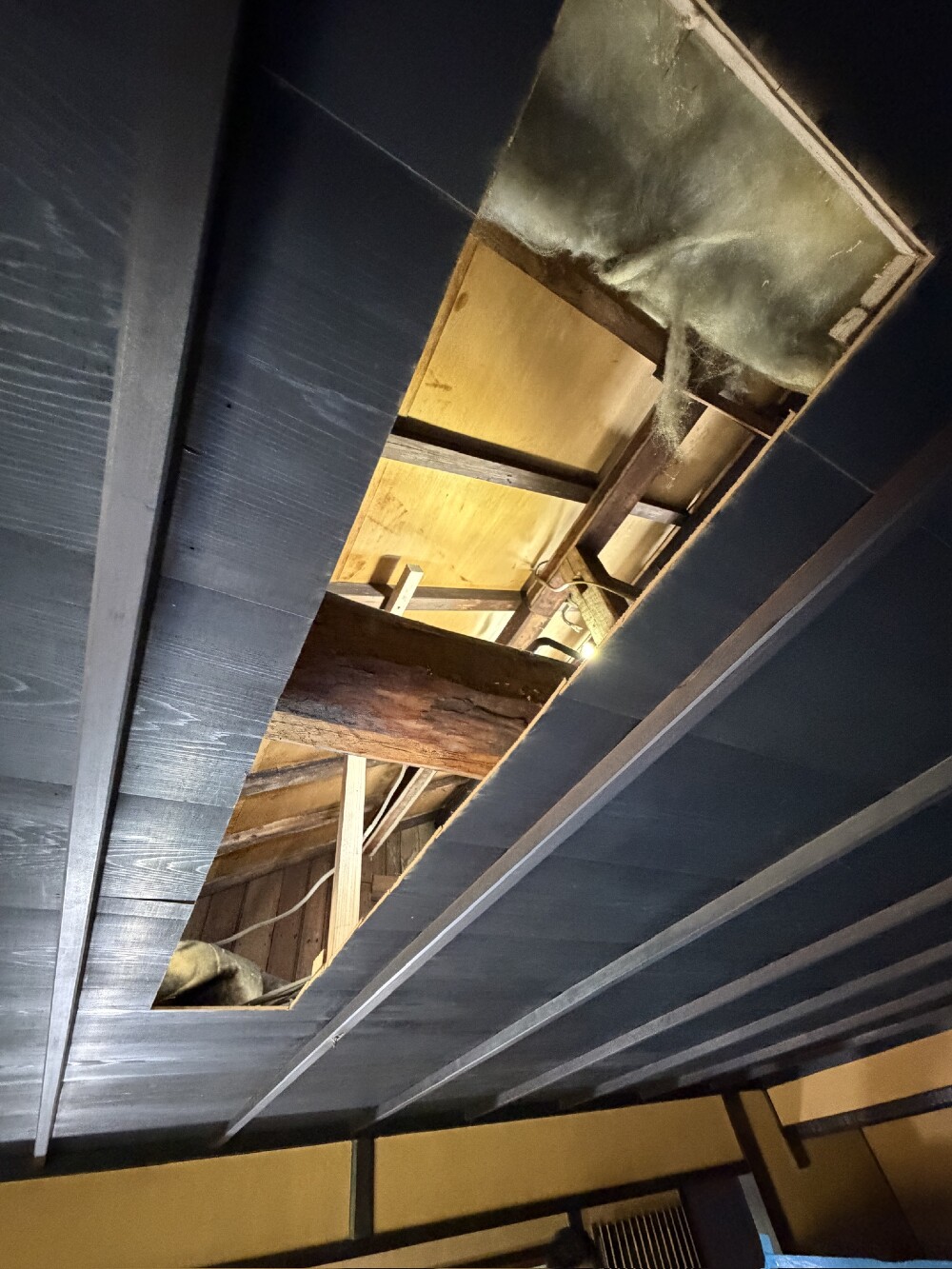 天井埋込照明取付工事です