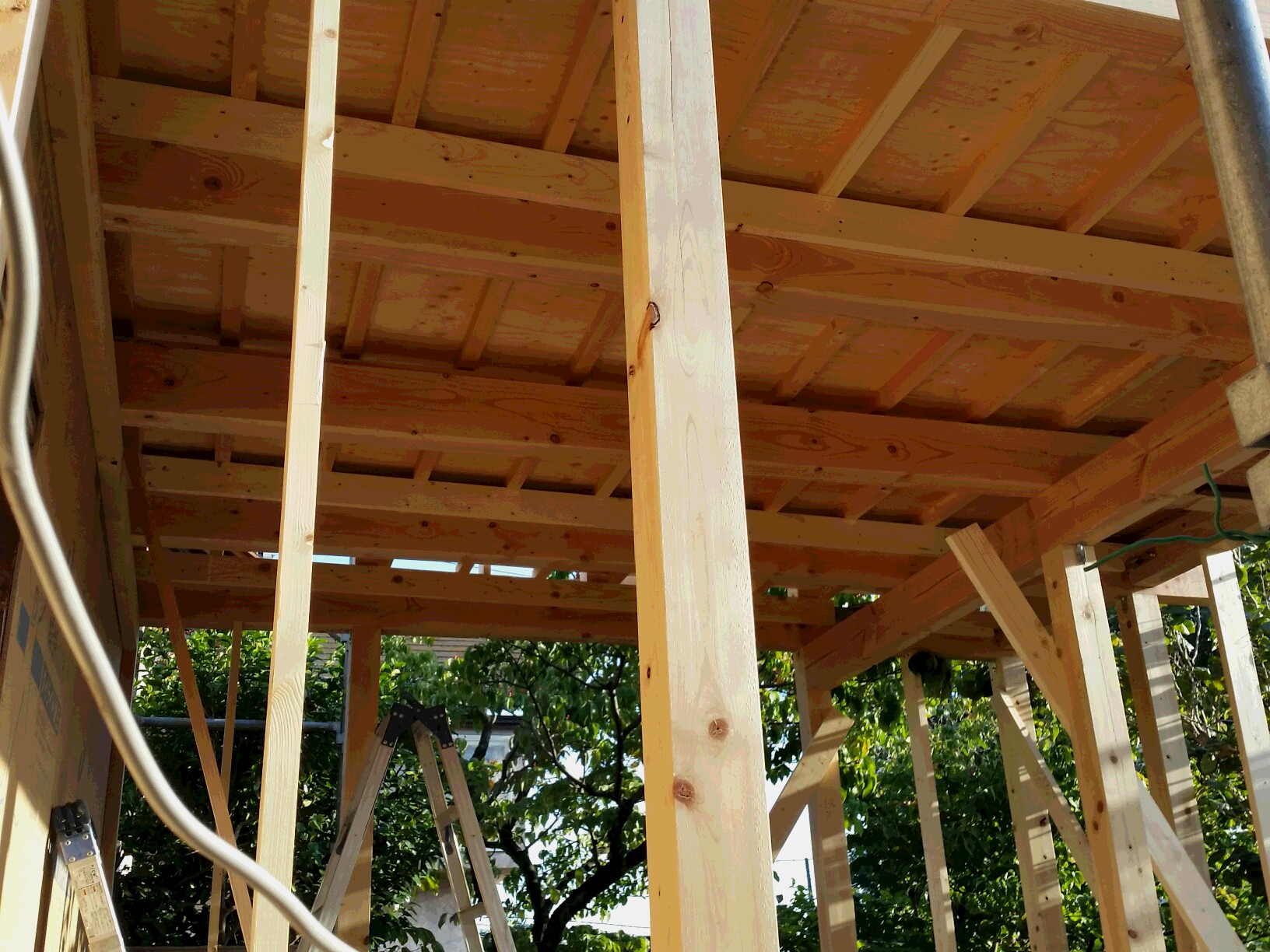 中川です、屋根が出来ました。
