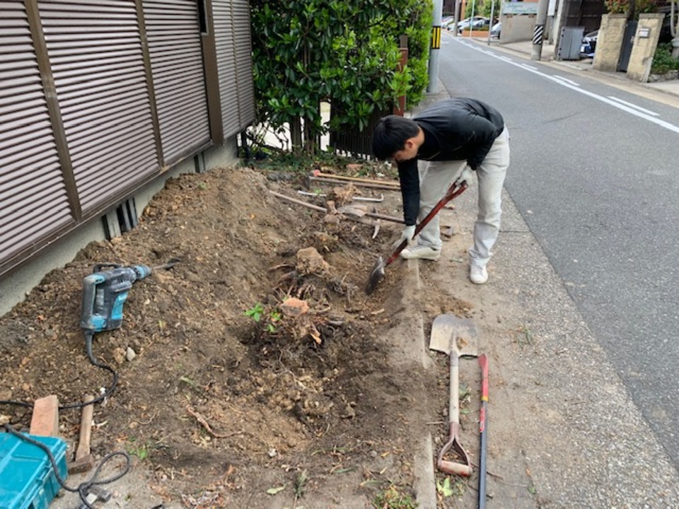 白井です、今日は垣根の撤去です。