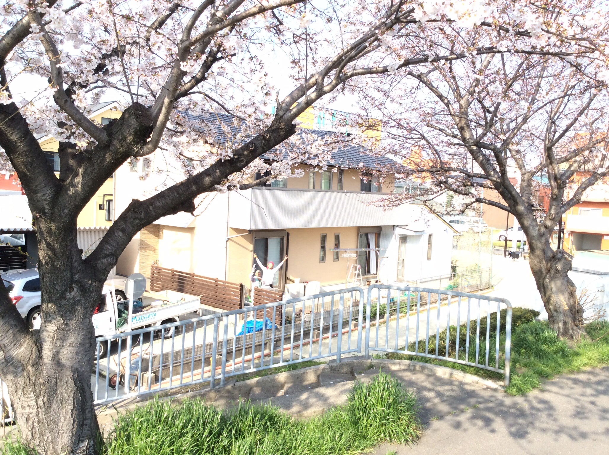 瑞穂区の現場です。桜の花が咲き始めました！