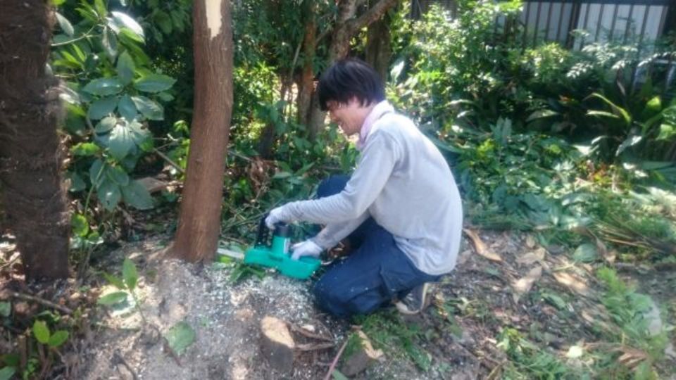 白井です、今日は伐採デーです！