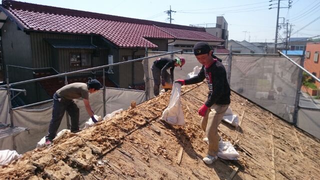 白井です、瓦土をめくってます！