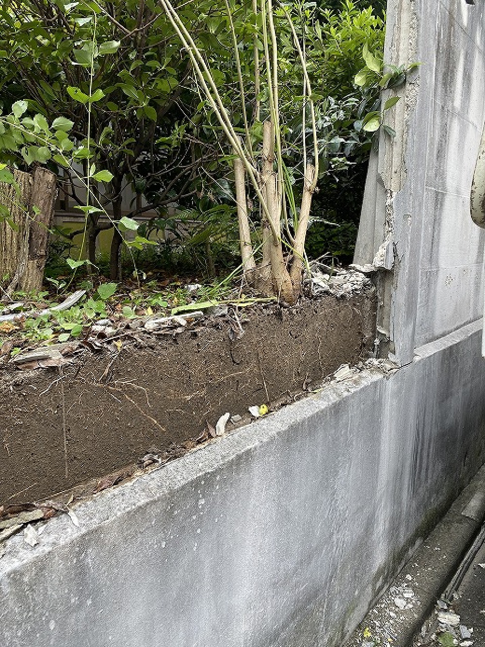 万年塀を解体し、土の流出を防ぐために、急遽仮の土留めを作りました