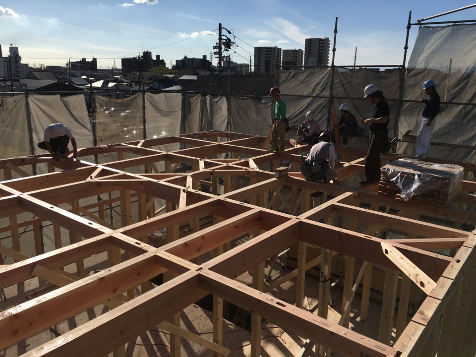 小屋上のみんな。