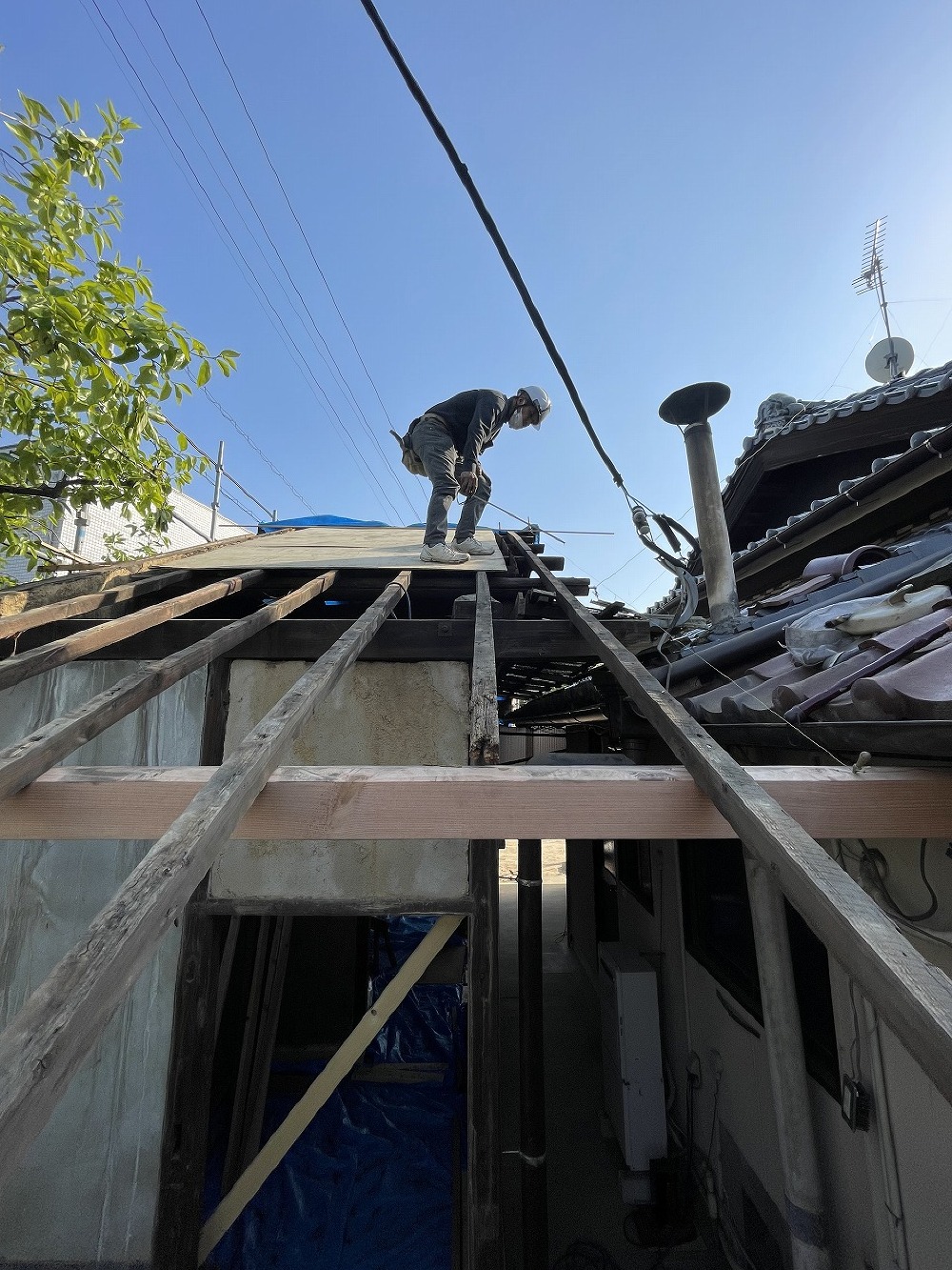 土台替え、土台入れも終わり、建て起こしを 直しながら柱を建てて行きます。  傷みの激しい柱、束も替えていきます（白井）