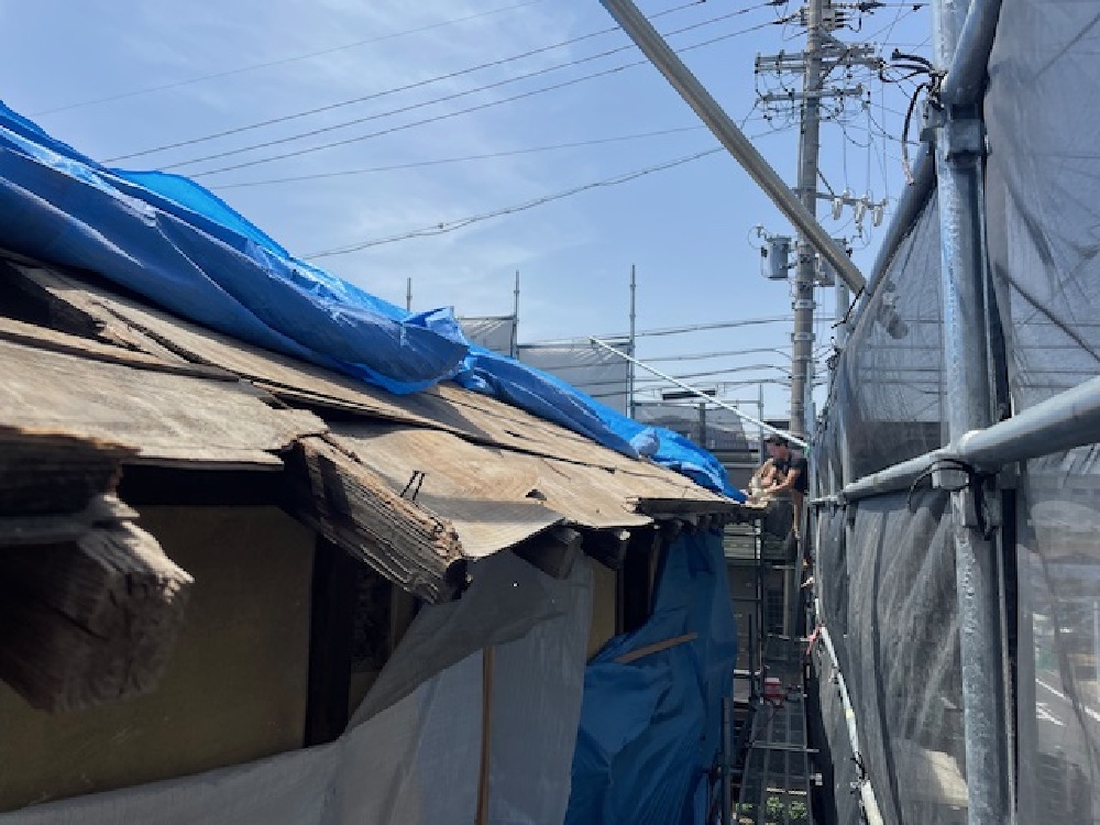 鼻先野地施工中