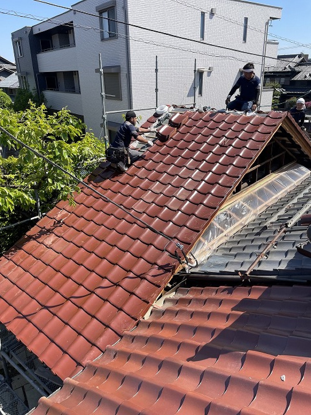 瓦工事、棟まで到達。順調です。 雲一つ無い空に、瓦が映えます（白井）