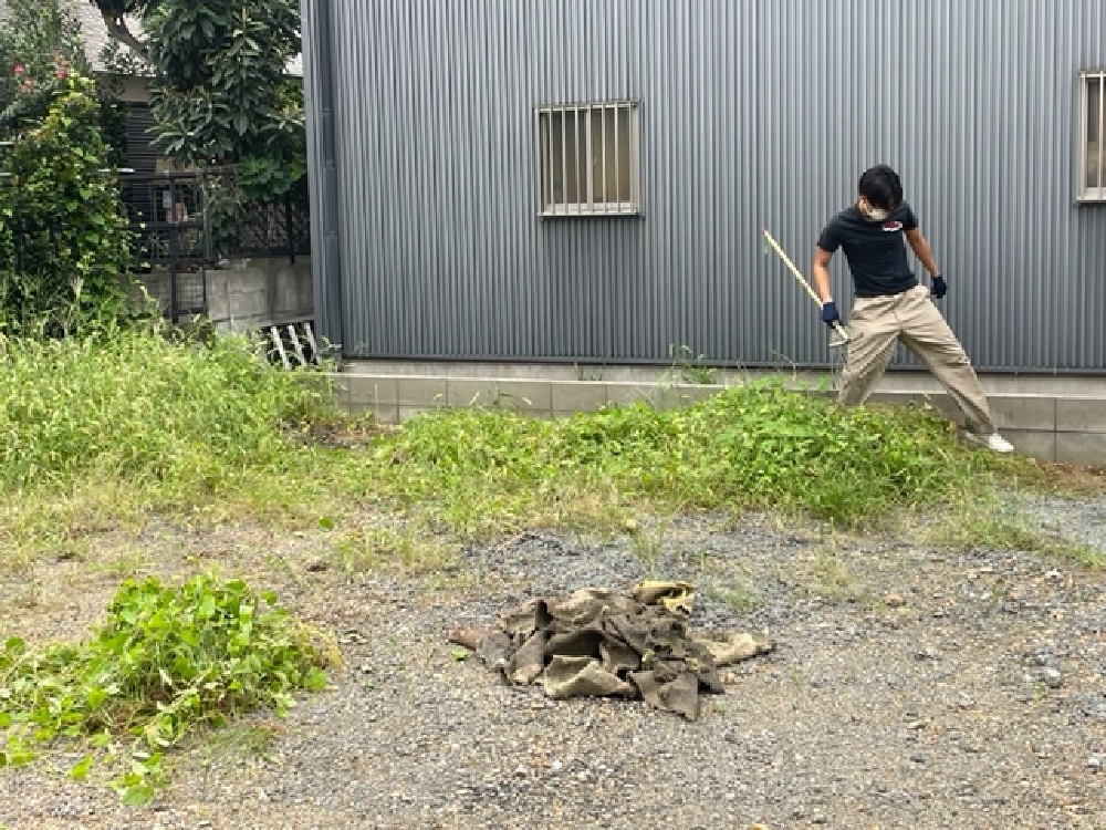 今日は草取りをしました（寺西）