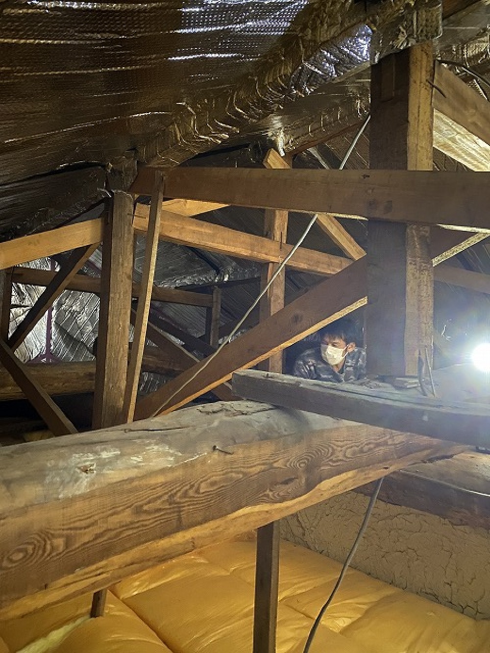 既存建物の小屋裏調査をしています、白井君です