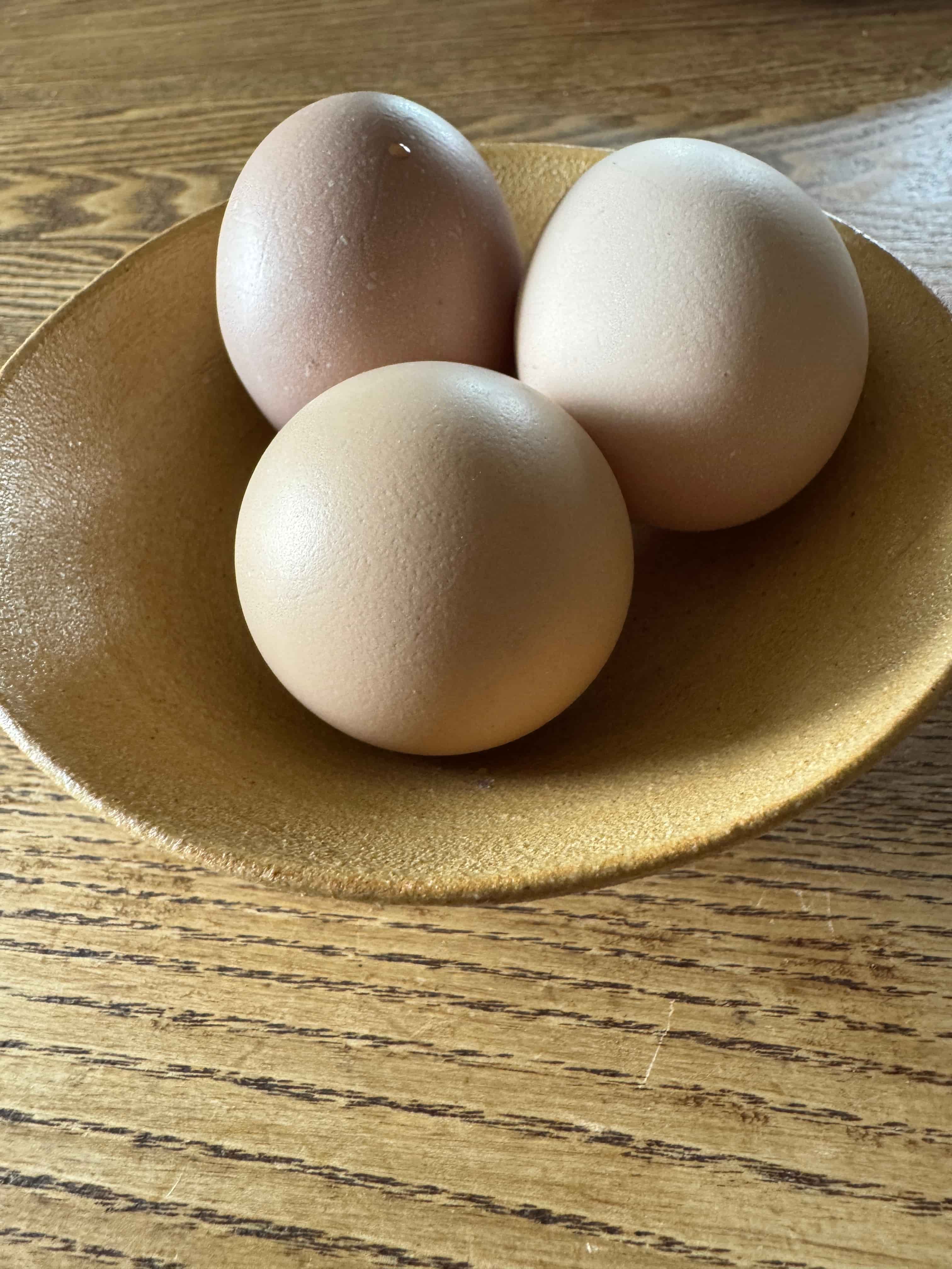 生みたて卵ありがとうございました