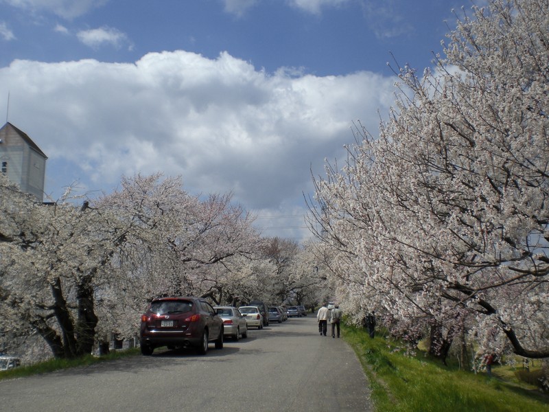 木の家｜自然素材を使ったＫ様邸の近くの公園。